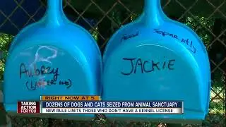 Dozens of animals seized from Hernando County sanctuary
