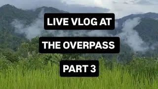 DAILY VLOG | CITY TRAFFIC FROM THE OVERPASS PART 3 #vlog   #dailyvlog   #city