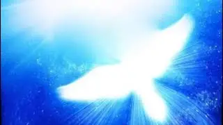 Soins et initiation &agrave; l'&eacute;nergie de la Lumi&egrave;re de la paix🙏