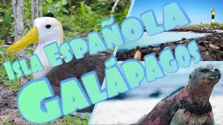 Galápagos - Tour Isla Española
