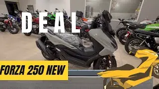 Akhirnya beli juga Forza 250 tahun 2025 yang udah TFT