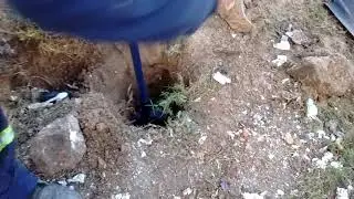 Pala vizcachera