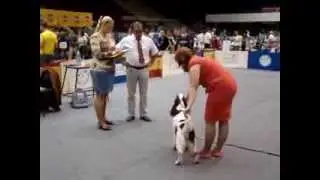 MOV01378