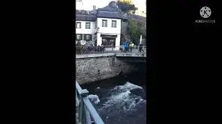 Falling in love @ Monschau ตกหลุมรักที่มอนเชา เก็บตกทริปเที่ยวมอนเชา เยอรมนี