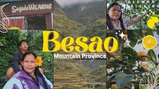 BESAO MT. PROVINCE | Lemon Picking