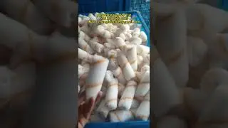 mini roller brush automatic manufacturing machine manufacturers price in Tuvalu  Cook Islands Nauru