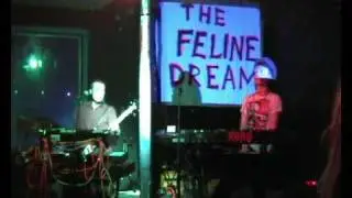 Destructiv/Productiv by The Feline Dream, live @ The Fan Club