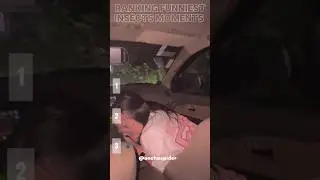 RANKING FUNNIEST: Insect Funny Moments #funny #insects #shorts