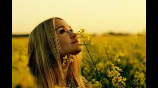 Ray Conniff - If I could reach you (CC) (HD)