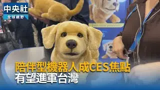 陪伴型機器人吸睛　有望進軍台灣｜中央社影音新聞