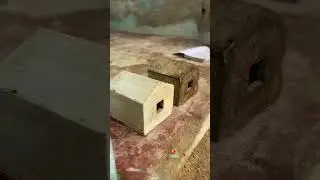 Acid 🤯Vaila konjam irrutha paturukum⁉️#tamil #trending #rabbitbreeds #petscorner #fish #fishing #yt