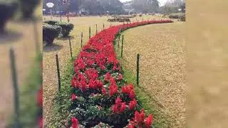 BOTANICAL GARDEN, BHUBANESWAR, ODISHA.