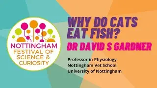 Why do cats eat fish?