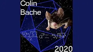 Collective Mind