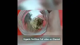 "Organic Fertilizer Essentials: Boost Your Garden Naturally!"
