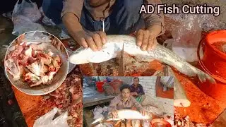 দুই কেজি ওজনের বোয়াল মাছ বাজারে কাটিং