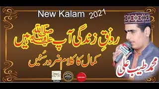 Ronq e Zindgi Ap Hain Ap Hain | Muhammad Tayyab Ali | Official Kalam |