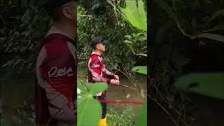Selamat Tahun Baru 2026 , Hobi kita tetap kehadapan #fishing #casting #snakehead #haruan #gabus