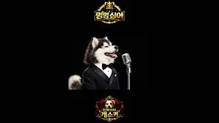 허스키의 히든싱어 - 오페라의 유령 - #music #kpop #pets #funny #opera