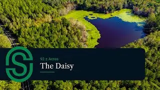 The Daisy &bull; 92&plusmn; Acres in Evans County, Georgia &bull; Recreational Retreat & Homesite Potential