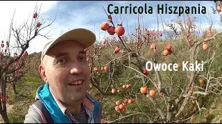 Carr&iacute;cola &ndash; wieś w Hiszpanii, w prowincji Walencja