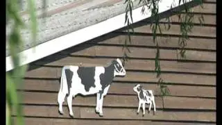 Overdiepse Polder ontpoldering