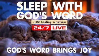 Peaceful Scripture Ambience &mdash; Sleeping Gray Kittens, Cozy Fireplace, Bible Reading