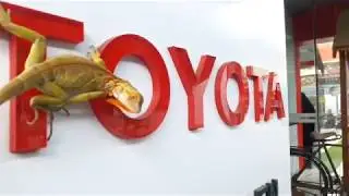 Launching New Avanza 2019 by Protocity
