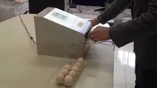 EasyJet egg batch coding machine/small format inkjet printer/food grade ink/manual control system