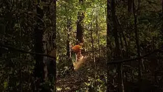 Week Cuts - Best #logging #action scenes of the week
