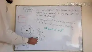 Biological Buffers  How do Buffer work? urdu/hindi practically check the buffer action