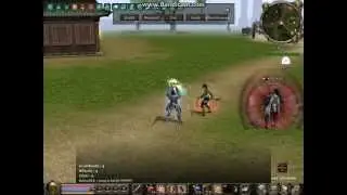 Metin2 Earth Duel