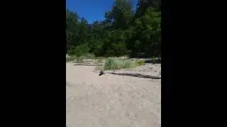 The Beach in Erie PA