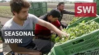 Why Swiss unemployment money is paid to Portuguese