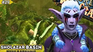 Sholazar Basin With Elanrhaelle - Music & Ambience  - Episode 29
