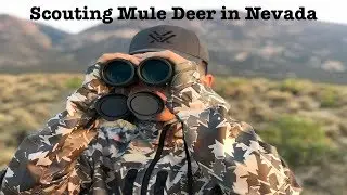 Scouting Mule Deer VLOG - Camping Near Ely, Nevada - Day 2