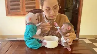 No Jeal0usly Pavpav Agree To Sharing His Porridge With Baby Titas