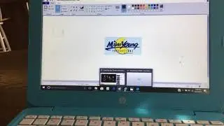 Mike young Productions/Nickelodeon (2009)