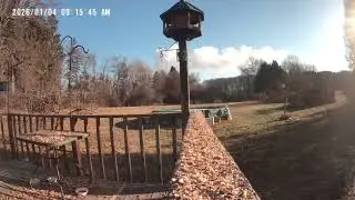 Archive Files of Birdbath Cam Compilation 20260105