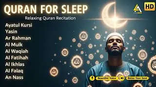Quran recitation in a peaceful voice ✦ Alfatiha, Yasin, Arrahman, AlWaqiah, AlMulk