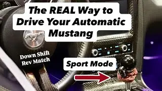 Sport Mode Made My Mustang Way More Fun | Down Shift Rev Match | 2014 Mustang V6 POV