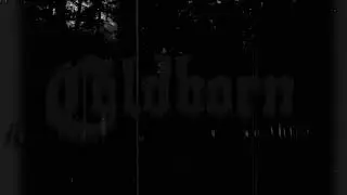 COLDBORN  Atmospheric Black Metal    Lingering Voidwards 480p 24fps H264 128kbit AAC