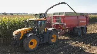 Claas Jaguar 950 - JCB Fastrac 4220 + Annaburger EcoLiner HTS 22.12 / SILAGE 2020 🌽