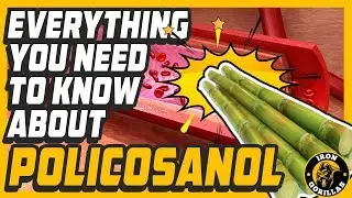 Policosanol: Everything You Need To Know In 3 Minutes!