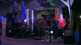 Bloom & Decay Live at Hijinx Brewing Allentown 10/28/23 Viola Lee