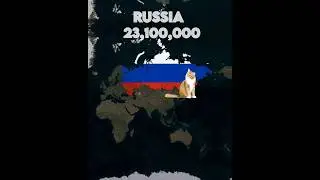 Part:2 Countries With the most cats| IB:@nxtune1235 #shorts #russia #cats