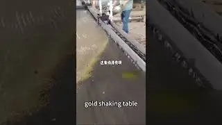 Staurk China 6s gold shaking table vs gemini shaker table vs wave table  #shakingtable #goldmachine