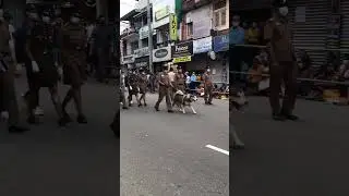 #srilankapolice.#srilanka  #doglover .#dog 🐶💕