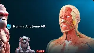Human Anatomy VR PSVR 2 test