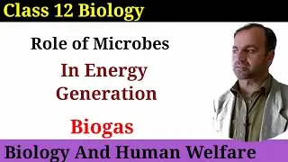 Role of Microbes in Energy Generation Class 12 Biology | Biogas | Biology And Human Welfare.